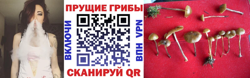 Галлюциногенные грибы Magic Shrooms Нефтекумск