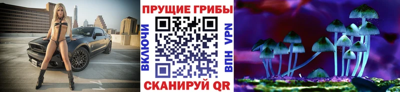 Галлюциногенные грибы Psilocybine cubensis  Нефтекумск 